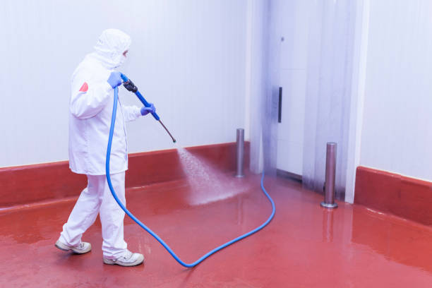 Best Gutter Cleaning and Brightening in Lawai, HI